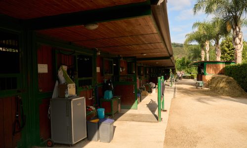 DSC03787