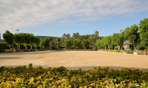 DSC03816