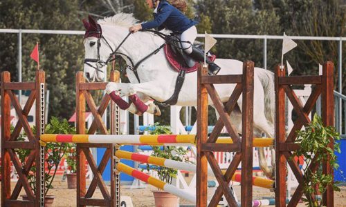 adc.farmhouse_57331513_521832045014603_5645456612380845091_n